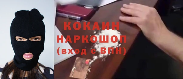 ешки Аркадак
