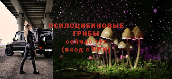 ешки Аркадак