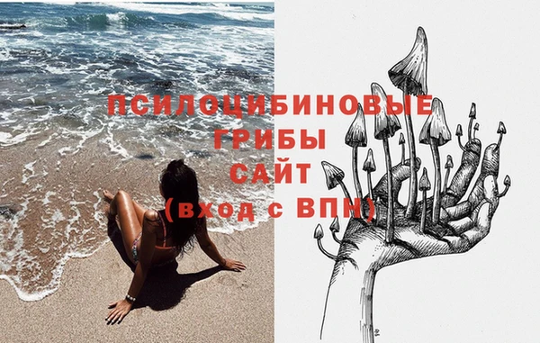 ешки Аркадак