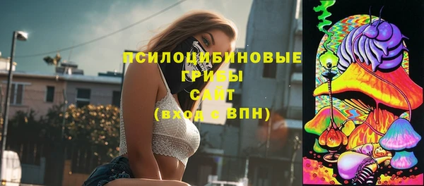 первитин Арсеньев