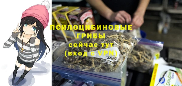 первитин Арсеньев